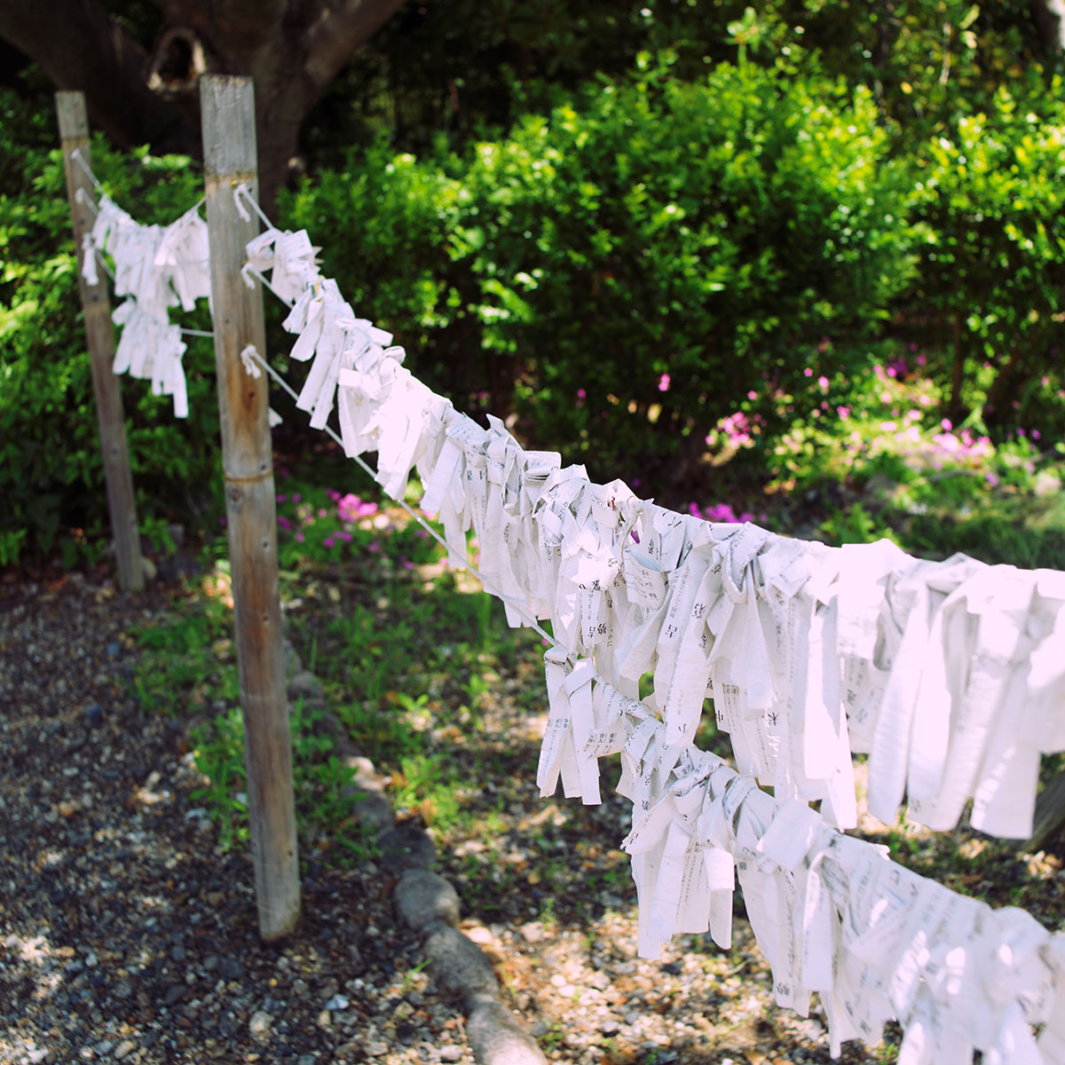 吊るされた御神籤