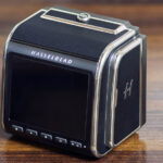 HASSELBLAD CFV ii 50cについて500CM・503CWで使用した作例