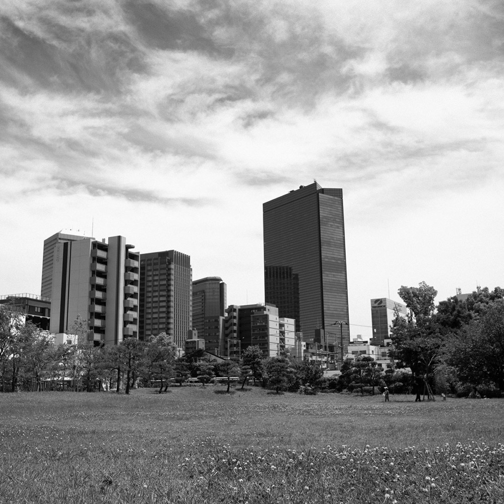藤田邸跡公園の芝生広場