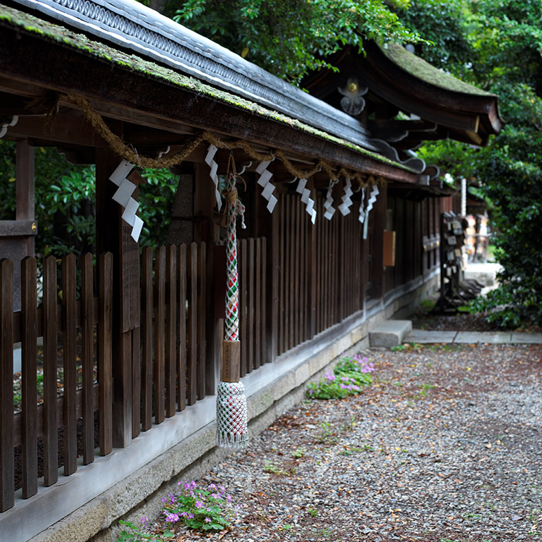 梅宮大社の境内1