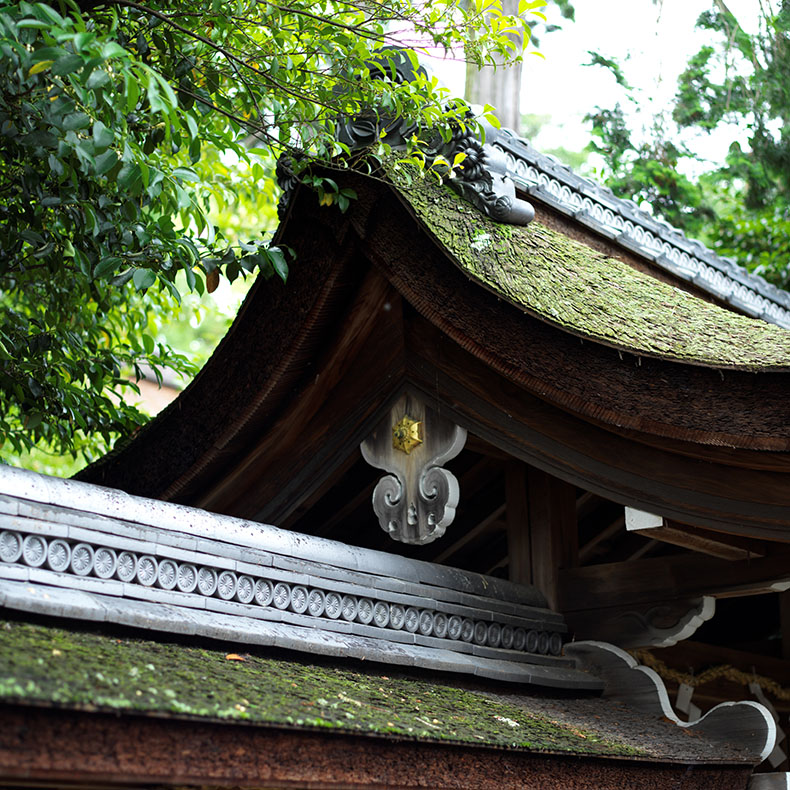 梅宮大社の境内2