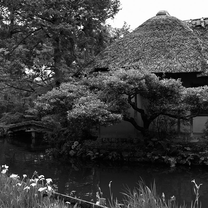 梅宮大社の庭園