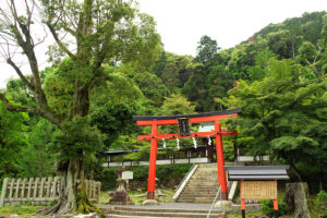 京都・松尾の月読神社に行ってきた／ハッセルブラッド500CMで撮影
