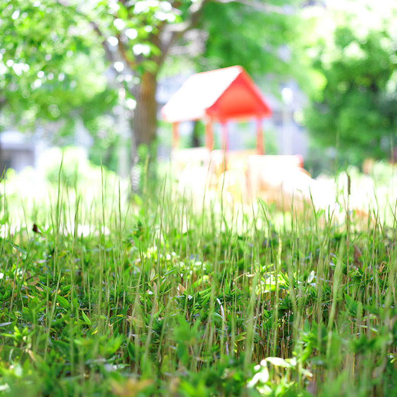 プラナーCF80mmで撮影