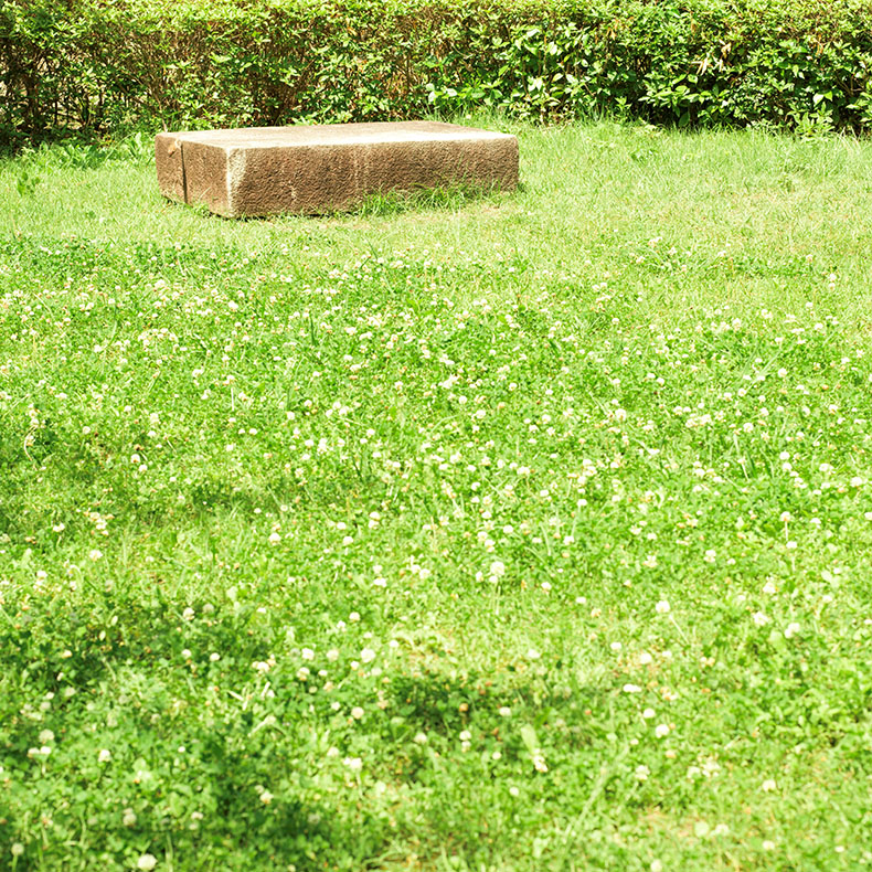 公園の石のベンチ