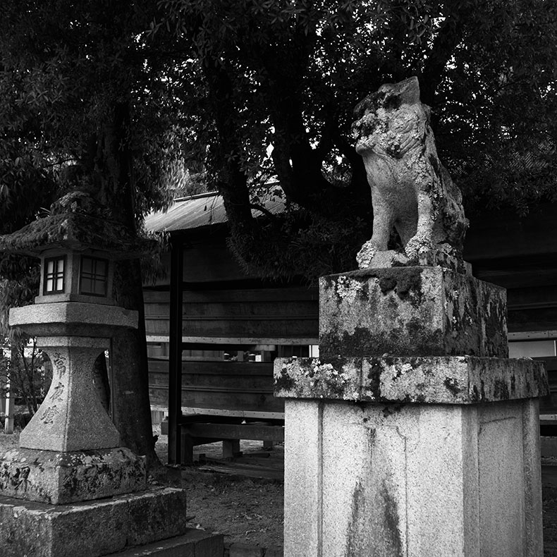 松尾大社の狛犬