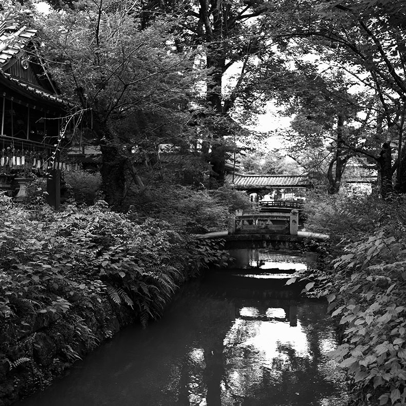 松尾大社の水路