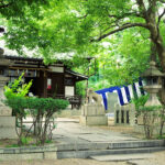 真田幸村の最後の地である神社へ行ってきた/ハッセルブラッド500CM