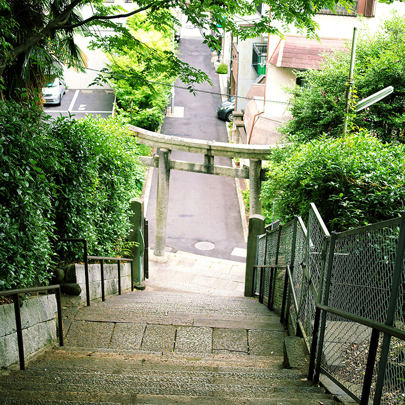 安居神社の階段