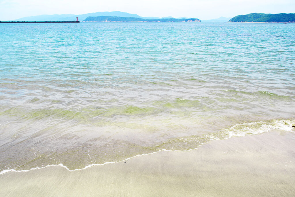 和歌山の加太にビーチや磯を撮影しに行ってきた／ハッセルブラッド500CM