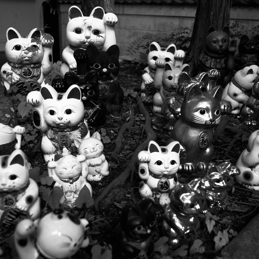 淡嶋神社の招き猫