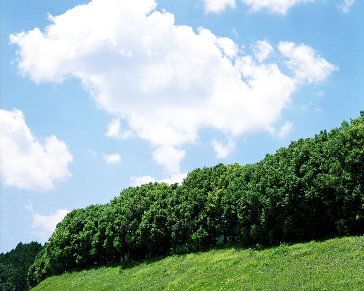 PENTAX67IIで撮影した作例4