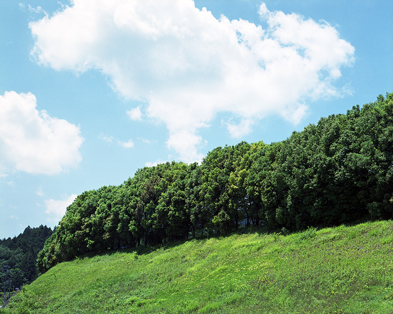 龍穴神社への道中の風景