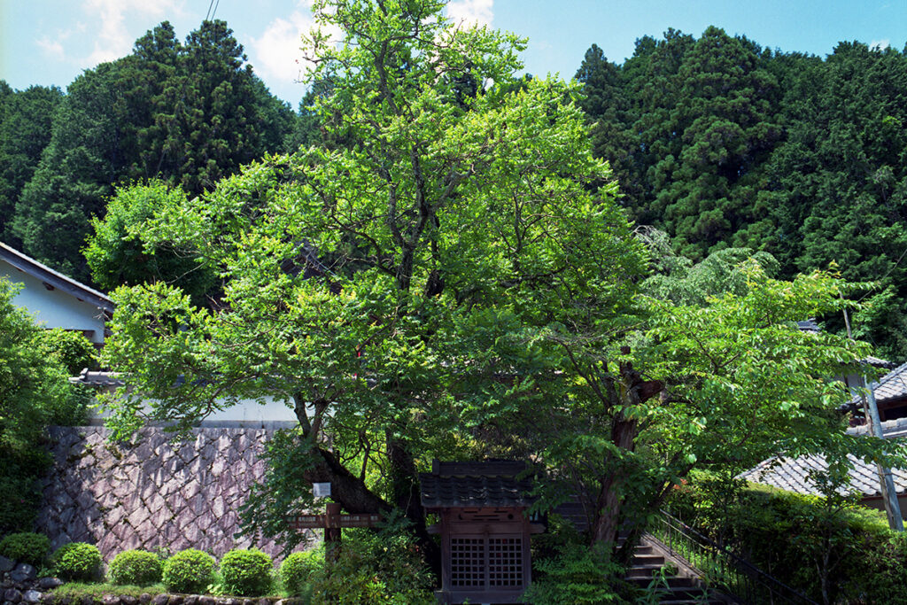 奈良県宇陀市の龍穴神社に行ってきた!!アクセスに落ち有り