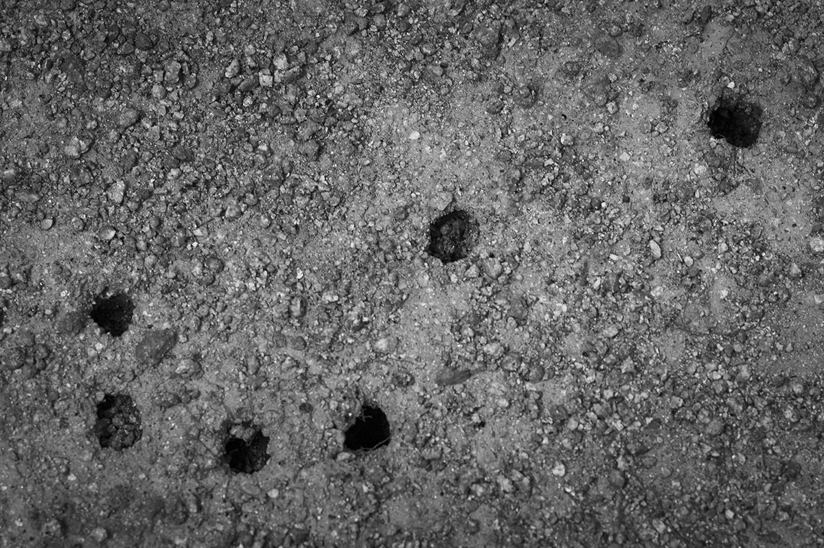 蝉が出てきた穴