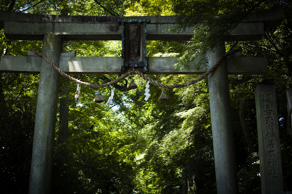 伊居太神社の鳥居