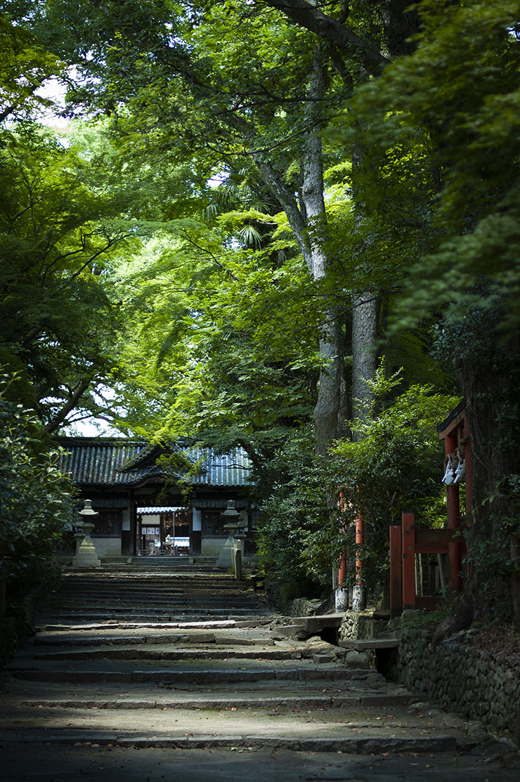 伊居太神社の参道