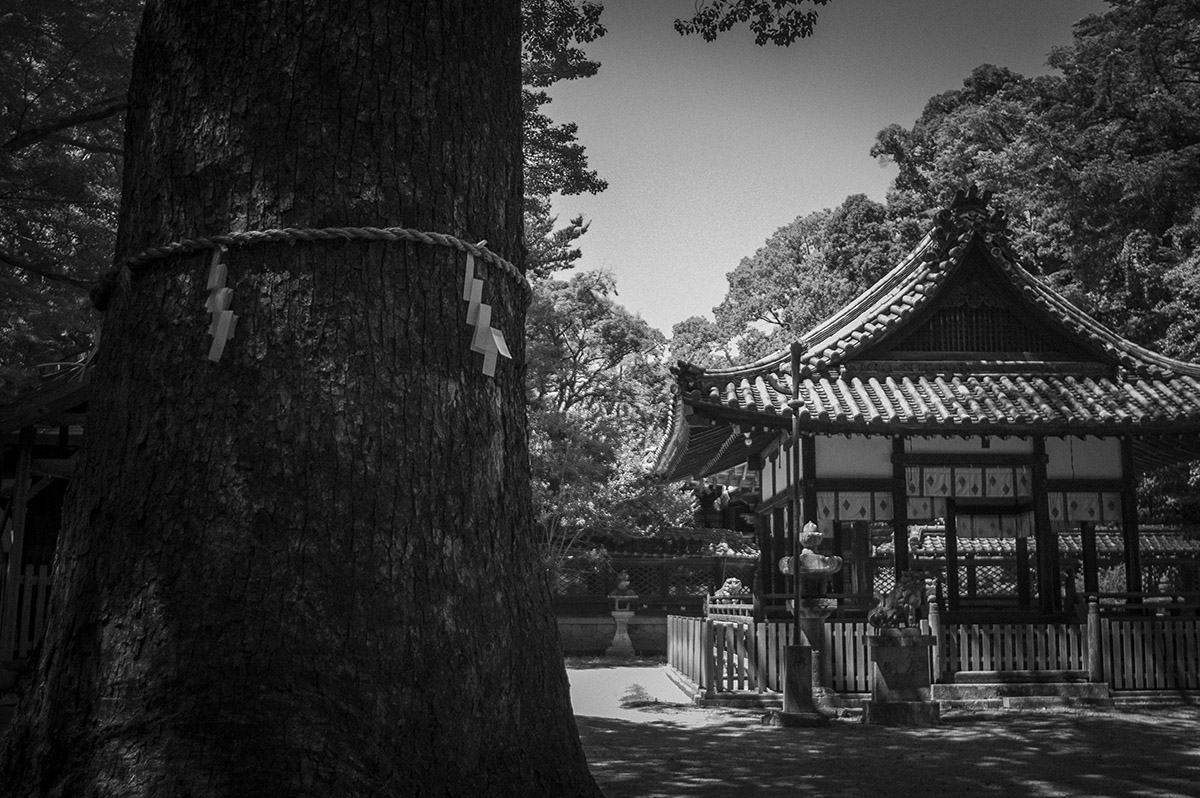 伊居太神社の境内