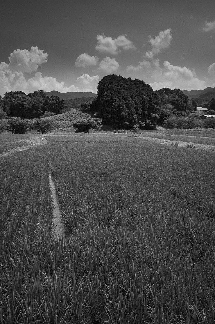 明日香村の風景2