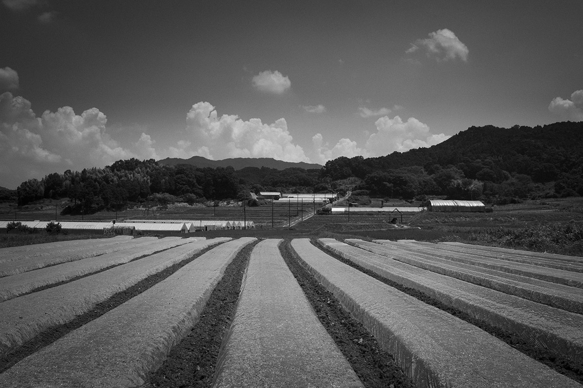 明日香村の風景3