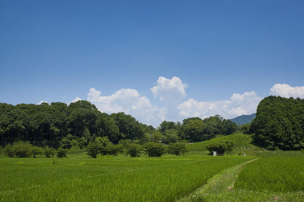 奈良県明日香村のキトラ古墳の大きさとは？撮影を兼ねて行ってきました