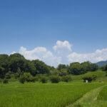 奈良県明日香村のキトラ古墳の大きさとは?撮影を兼ねて行ってきました