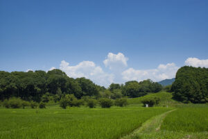 奈良県明日香村のキトラ古墳の大きさとは?撮影を兼ねて行ってきました