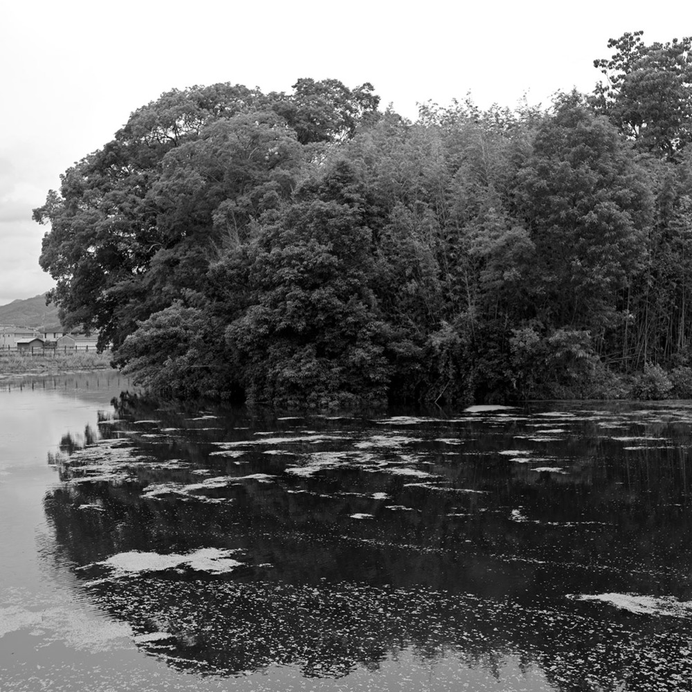 纒向勝山古墳の池
