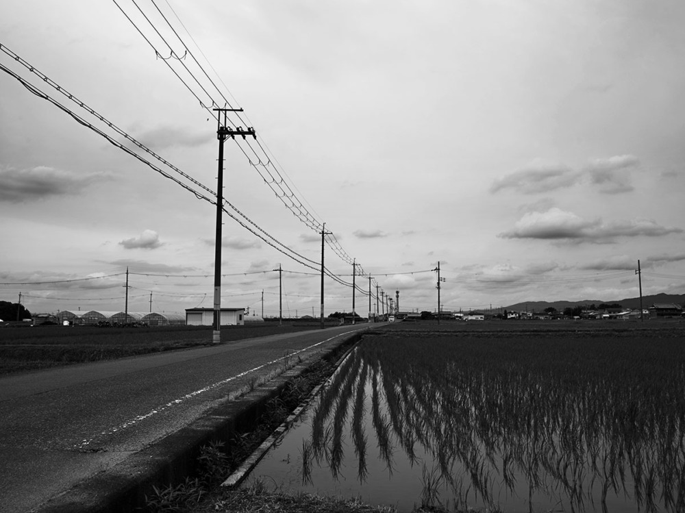 纒向古墳群周辺の田園風景1