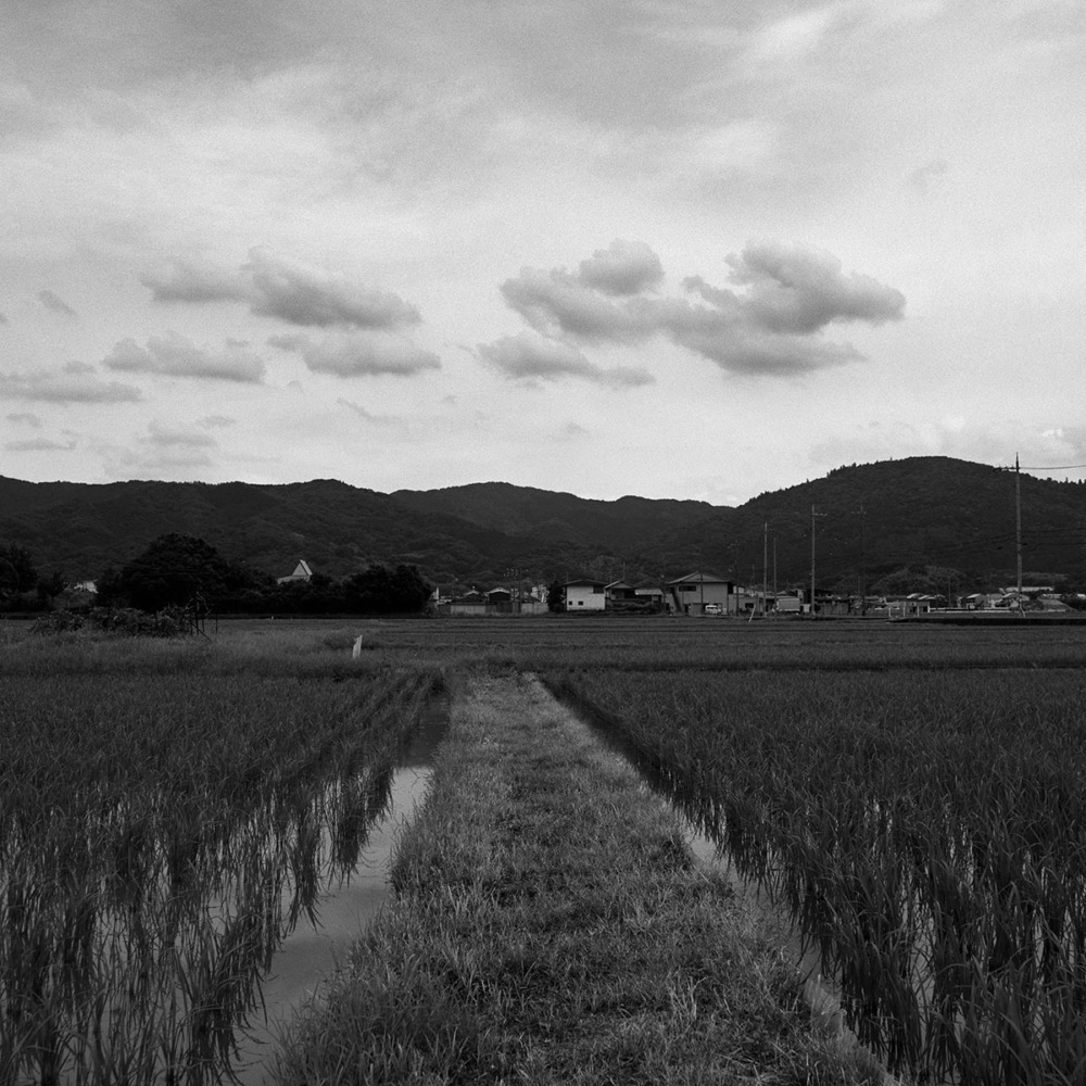纒向古墳群周辺の田園風景2