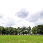 奈良県桜井市の纒向古墳群(まきむくこふんぐん)に撮影に行ってきた