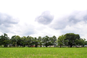奈良県桜井市の纒向古墳群（まきむくこふんぐん）に撮影に行ってきた