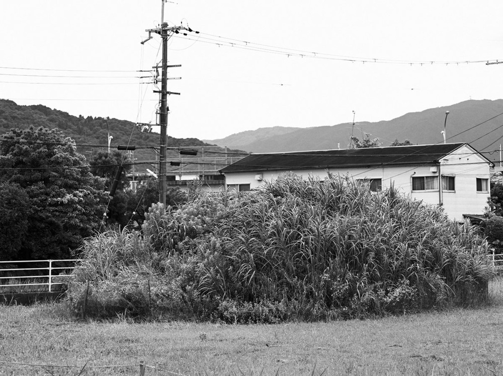 纒向遺跡 メクリ1号墳跡