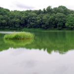 箸墓古墳がどこか場所を調べながら写真撮影に行ってきた