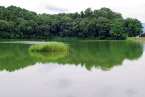 箸墓古墳がどこか場所を調べながら写真撮影に行ってきた