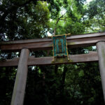 三輪山の大神神社(おおみわじんじゃ)にご利益を頂きにいきました
