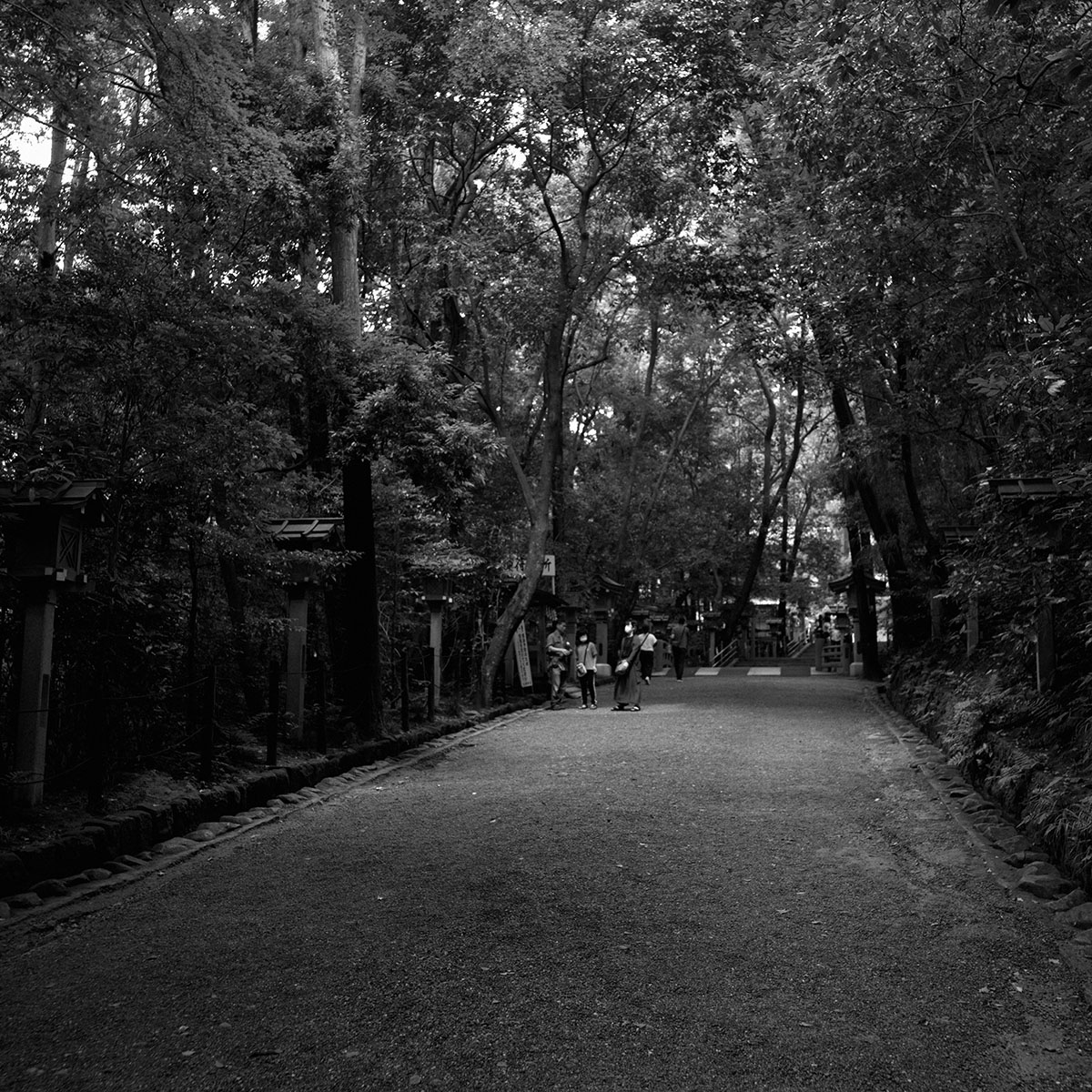 大神神社の参道