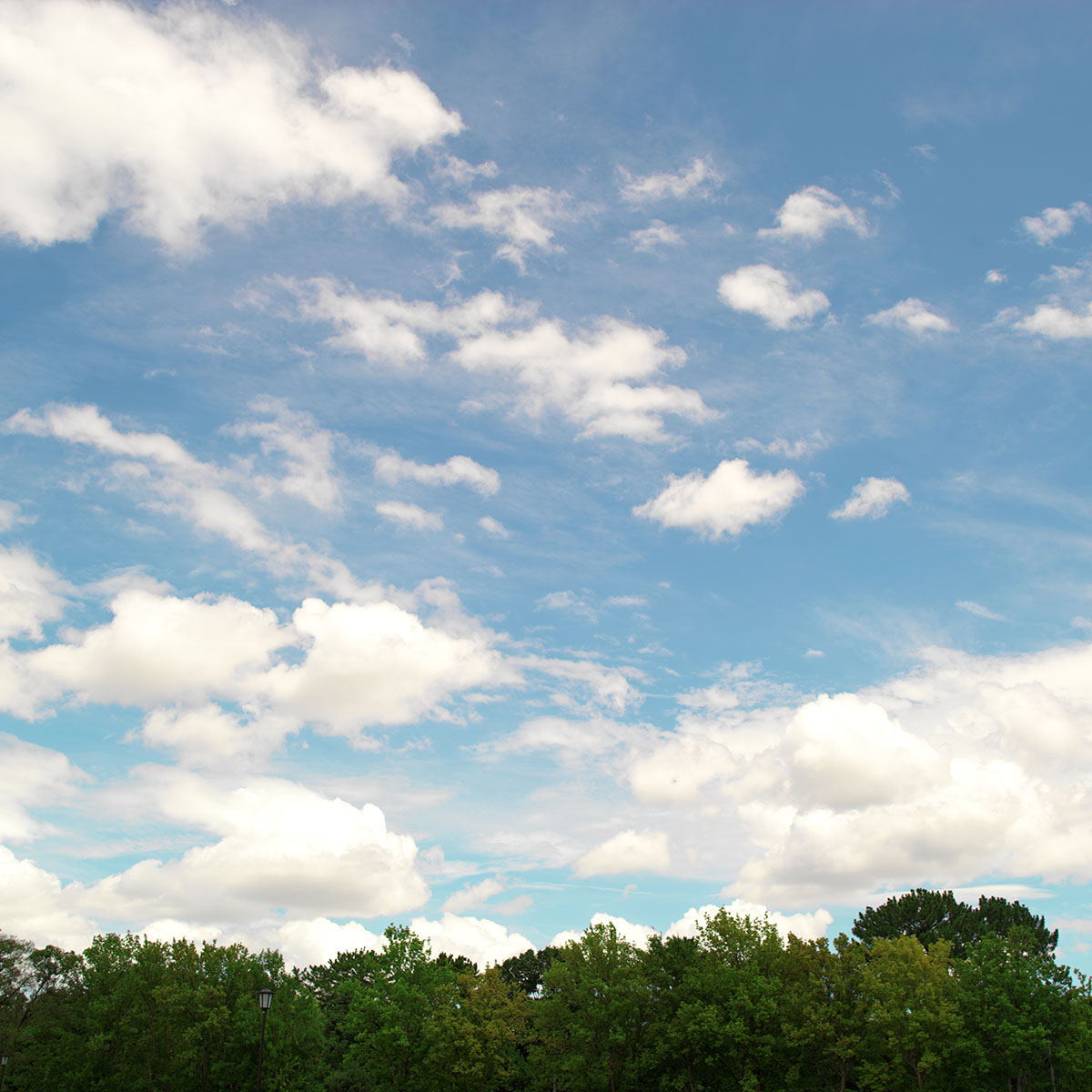 仁徳天皇陵周辺