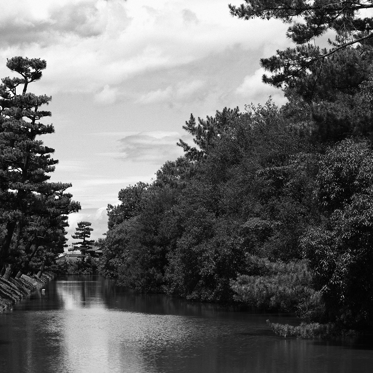 仁徳天皇陵のお堀