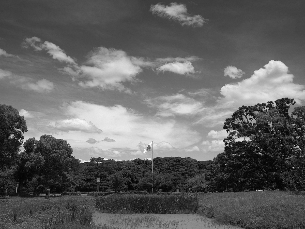 大仙公園から見る景色