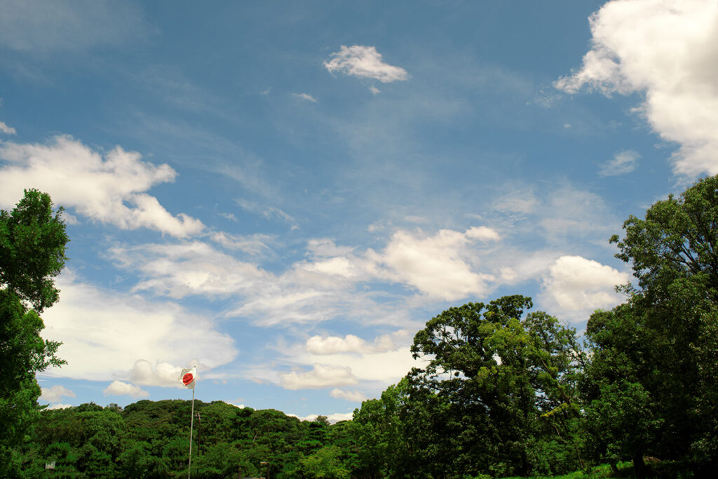 大仙公園をウォーキングしながら古墳の写真を撮りにいきました