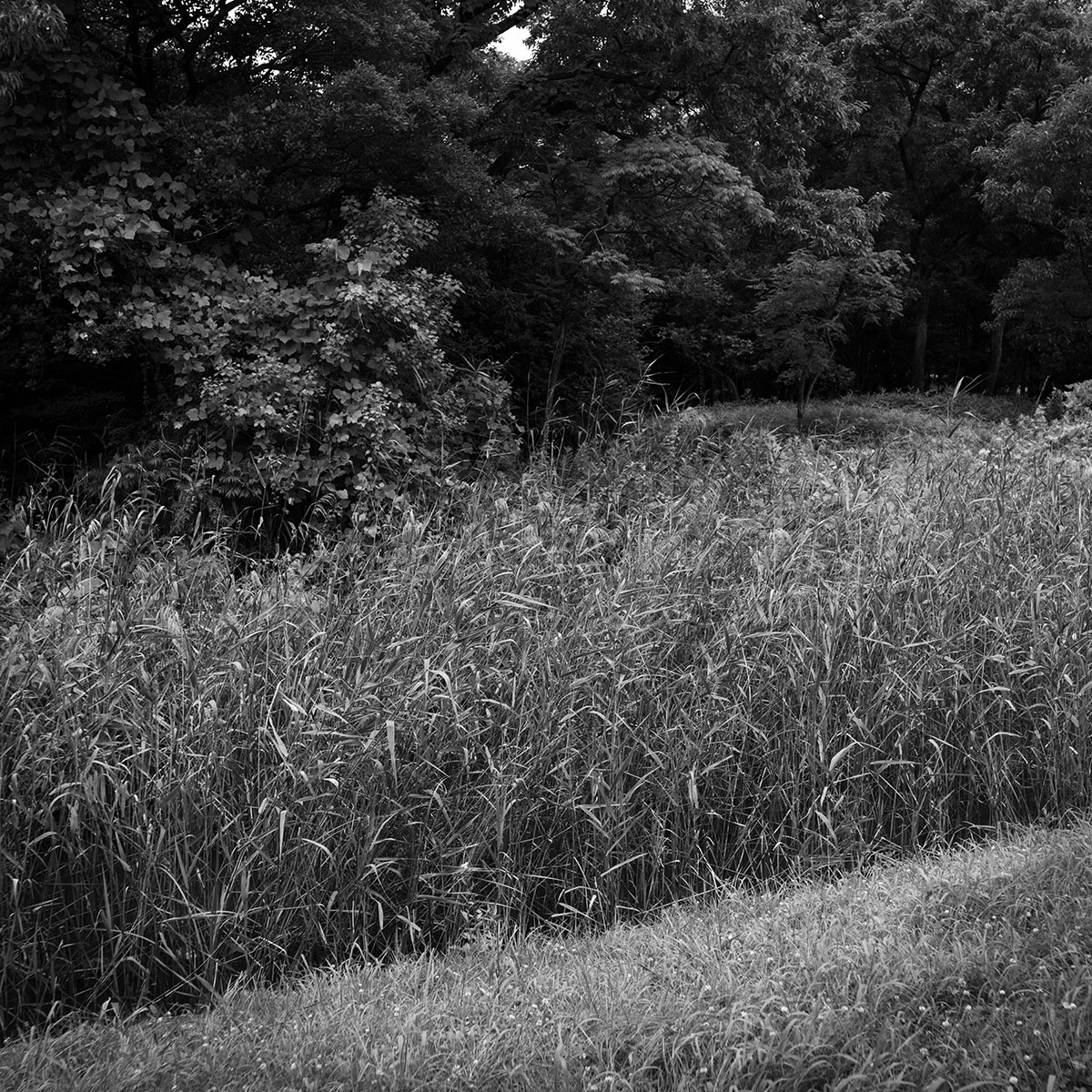 グワショウ坊古墳