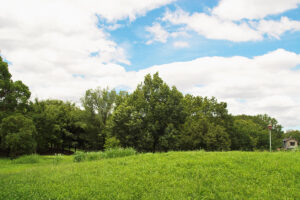 一眼レフで空の撮影をして写真を楽しむ！！今年一眼レフで撮影した空の写真