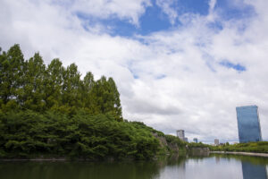 大阪城公園をNikon D600を持ってブラブラしながら撮影してきた