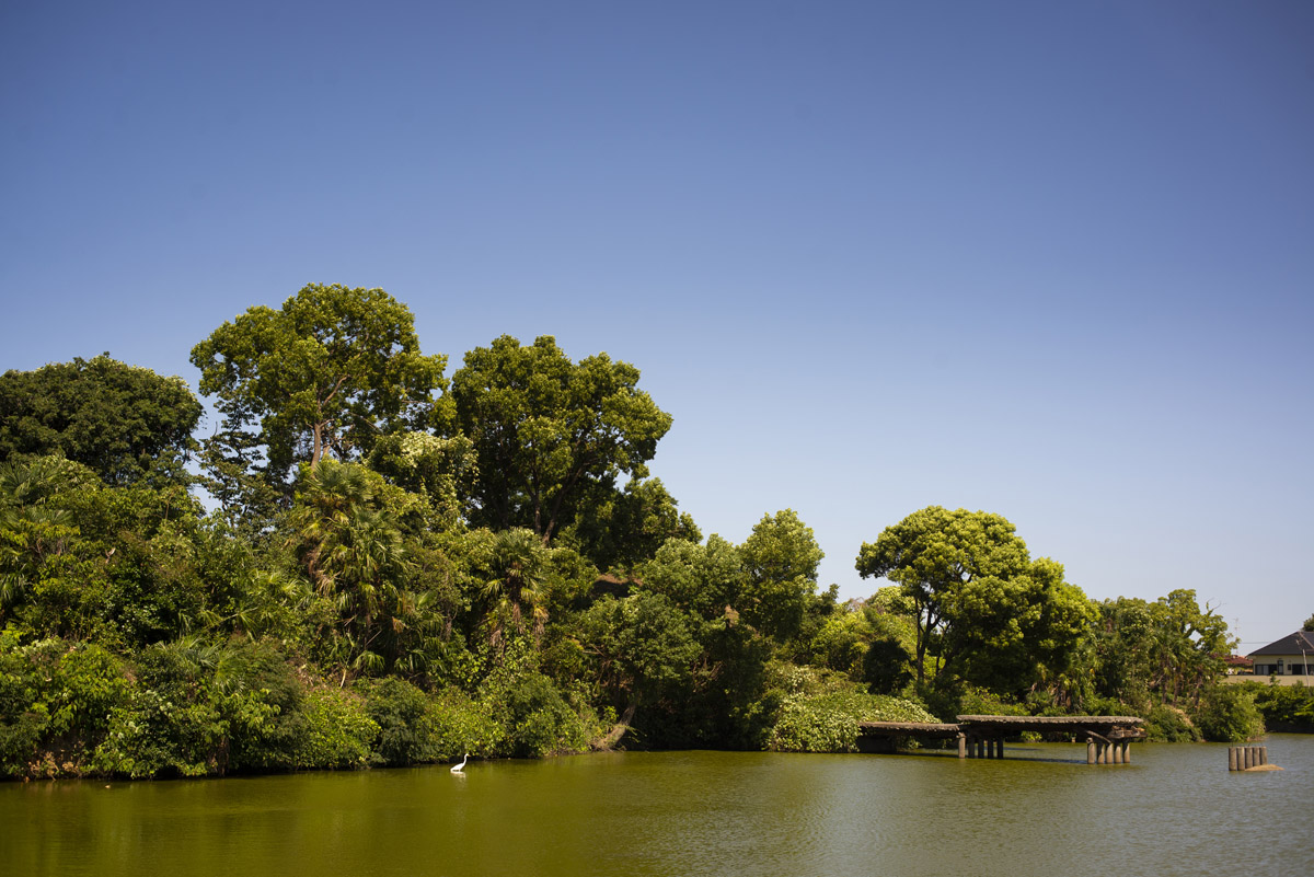 Nikon D600の作例5