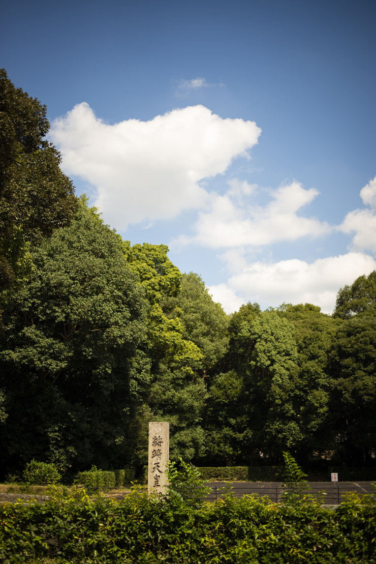 Nikon D600の作例4