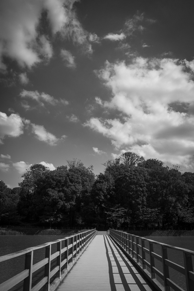 Nikon D600の作例3