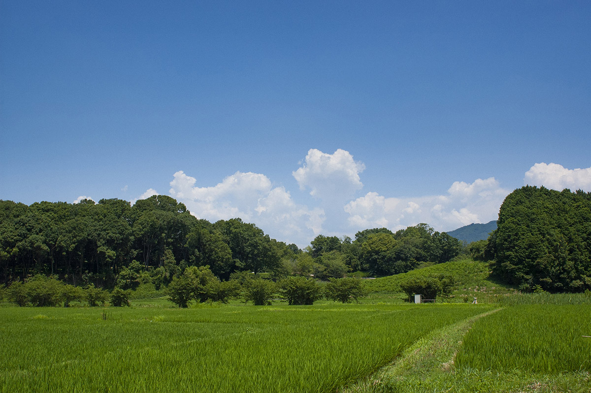 AI AF Nikkor 24mm作例3