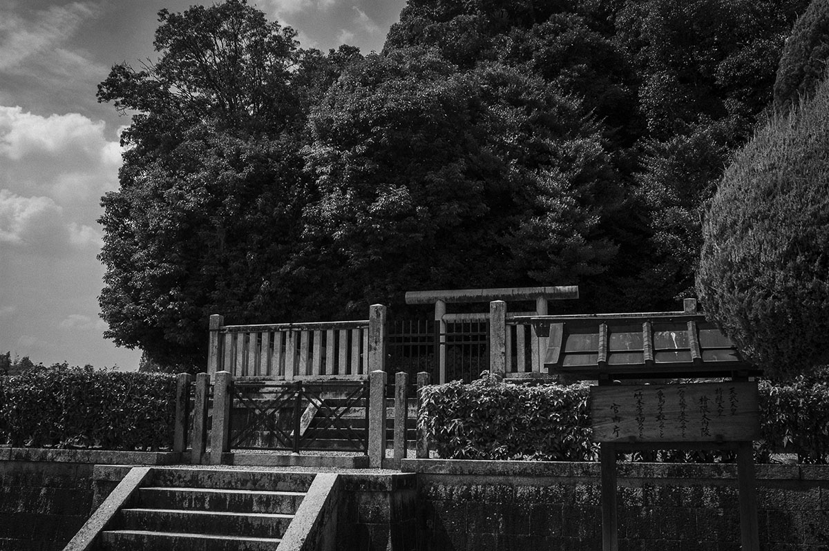 天武・持統天皇陵4