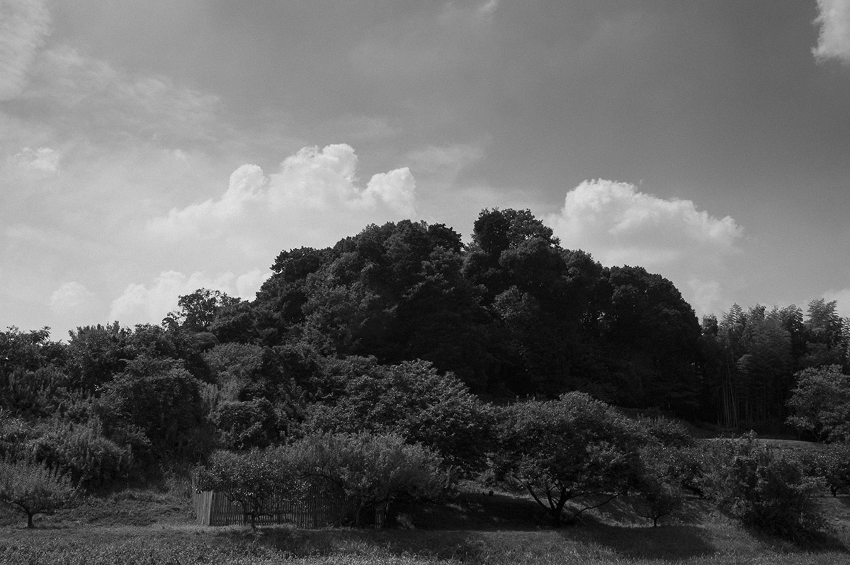 天武・持統天皇陵6